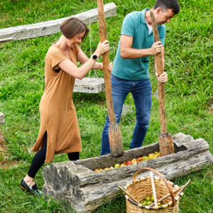 Visite guidée de Sagardoetxea, Musée du Cidre